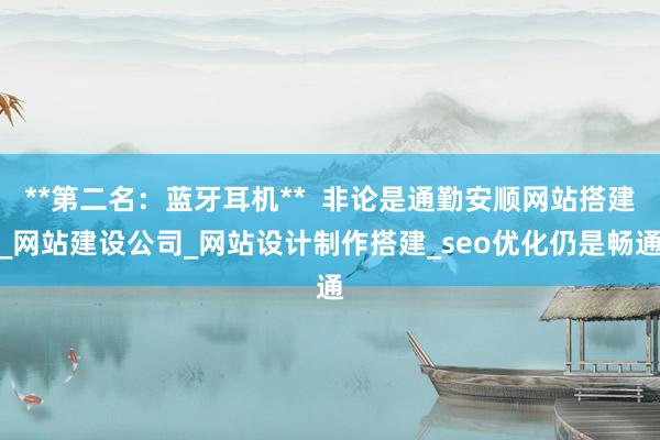 **第二名:蓝牙耳机** 非论是通勤安顺网站搭建_网站建设公司_网站设计制作搭建_seo优化仍是畅通